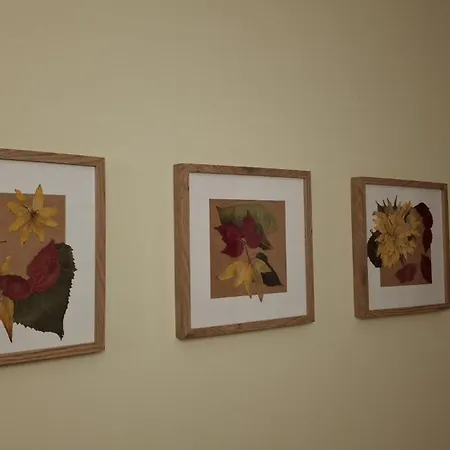 La Casa De Jarijoles León