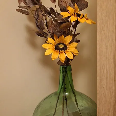 La Casa De Jarijoles Apartment